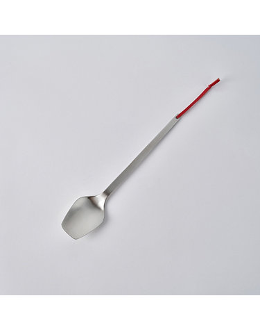 에비히슈테른 카르 스텐 요리스푼
