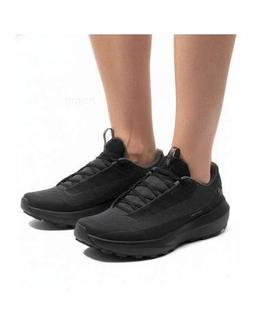 아크테릭스 노반 LD 4 GTX 우먼 AFPSW09617BCB NORVAN W