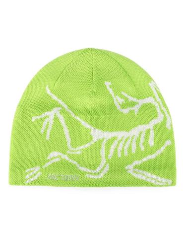 아크테릭스 공용 버드 헤드 토크 비니맨티스 X000006756 BIRD HEAD Toque MANTISARCTIC SILK