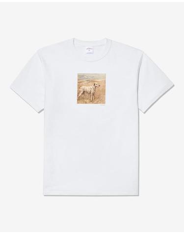 26SS 노아 반팔 티셔츠 NOAU261MRTS205WH WHITE DOM