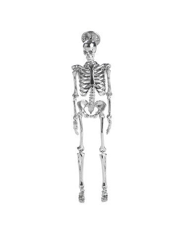 라프시몬스222 987 46000 0082 남녀공용 dangling skeleton 브로치