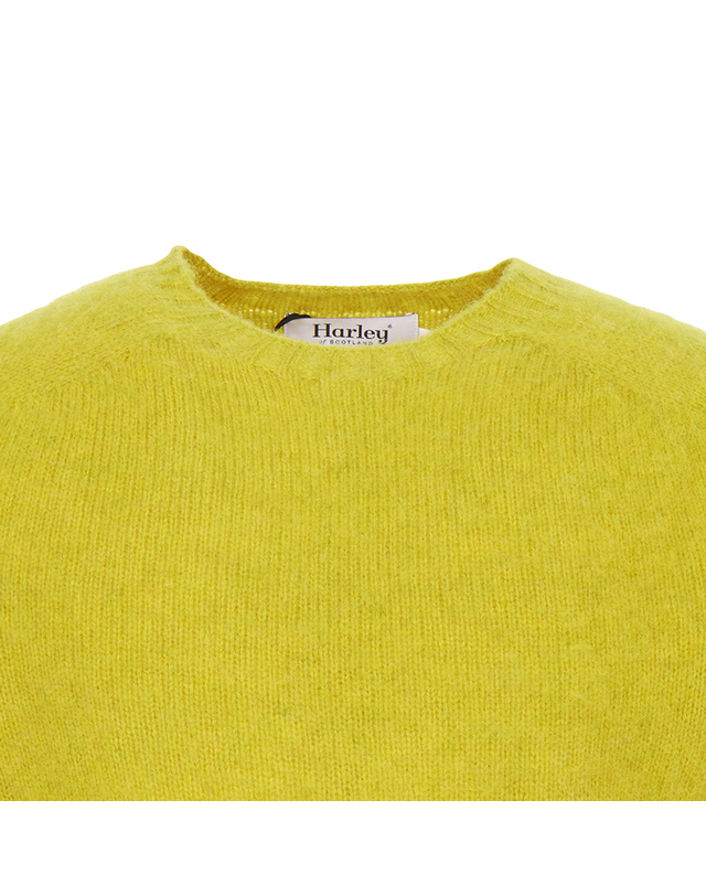 할리오브스코틀랜드 26FW 할리 오브 스코틀랜드 쉐기독 니트 M3834 7 CITRINE 착용컷