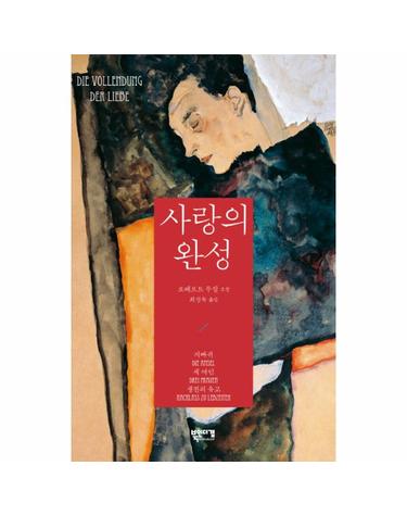 사랑의 완성 로베르트 무질 소설