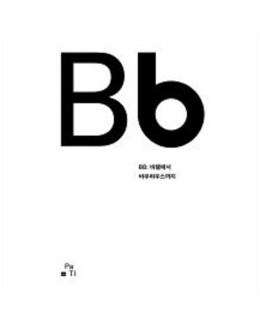 BB- 바젤에서 바우하우스까지 길 위의 멋짓