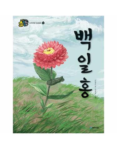 백일홍