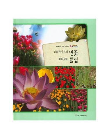연못 속의 요정 연꽃 컵을 닮은 튤립 테마별 자연 나라, 생태 탐구