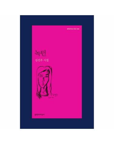 녹턴 김선우 시집