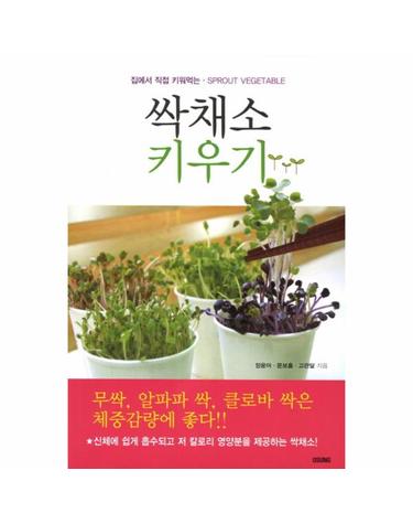 싹채소 키우기 집에서 직접 키워먹는 Sprout Vegetabel