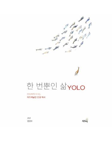 한 번뿐인 삶 YOLO 아들에게 보내는 아드레날린 인생 백서