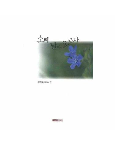 소리 날아오르다 김현숙 제8시집