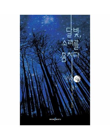 달빛, 소리를 훔치다 류미월 에스프리 산문집