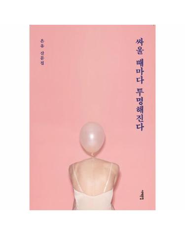 싸울 때마다 투명해진다 은유 산문집