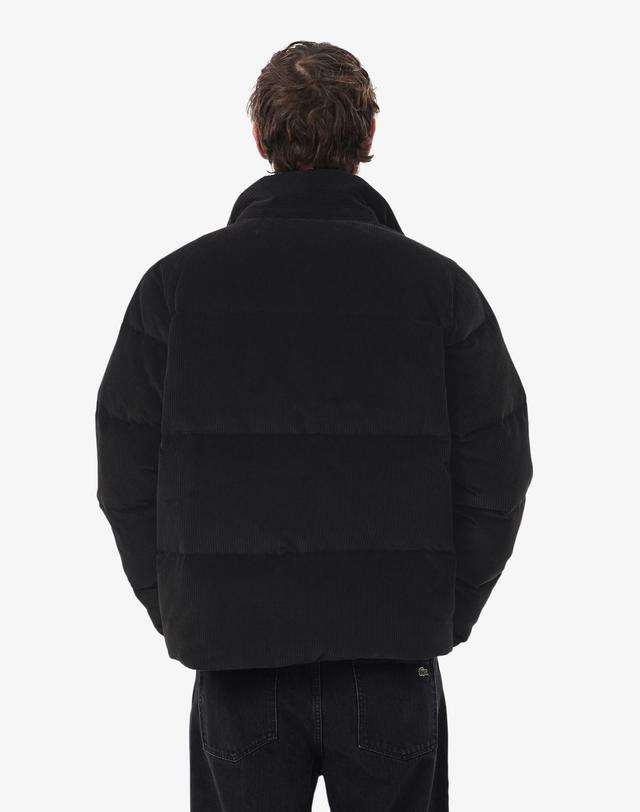 라코스테 [라코스테 공식] 남성 코듀로이 덕다운 BH3593-56N 031 착용컷