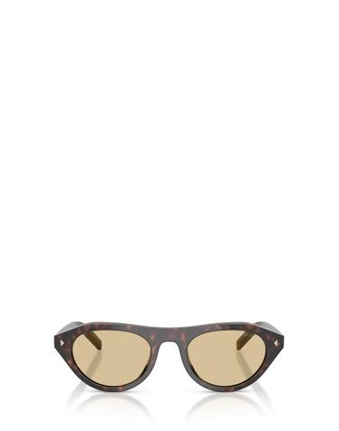 [해외직구] 26FW 프라다 선글라스 PR B15S 17N70R ROOT TORTOISE