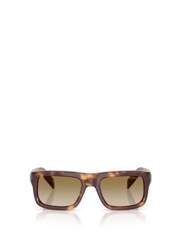 [해외직구] 26FW 프라다 선글라스 PR D11S 15W20U CLASSIC TORTOISE