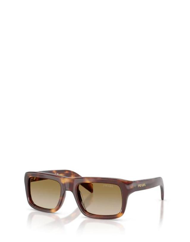 프라다 [해외직구] 26FW 프라다 선글라스 PR D11S 15W20U CLASSIC TORTOISE 착용컷