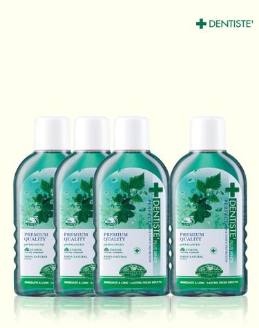 덴티스테 불소 가글 내츄럴 오랄린스 휴대용 100ml 4개 구취 충치케어