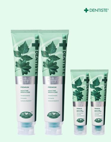 덴티스테 뉴플러스화이트 프로 불소 치약 100g 2개(+여행용20g 2개 증정) 구취 충치케어