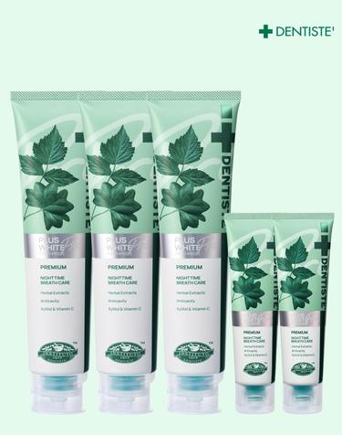 덴티스테 뉴플러스화이트 프로 불소 치약 100g 3개(+여행용20g 2개 증정) 구취 충치케어