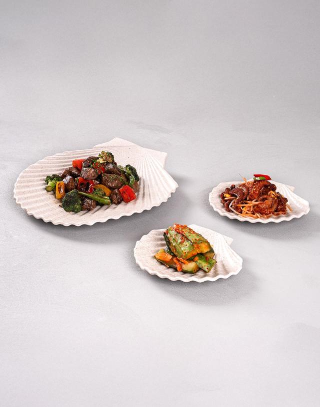 온도아리아 온도아리아 가리비접시 중형 브런치 파스타 샐러드 플레이팅 그릇 착용컷