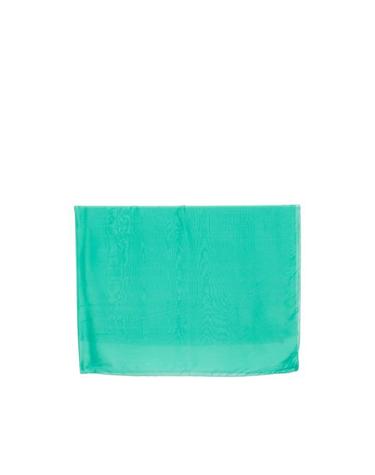[해외직구] 26FW 레이디 앤 머플러 스카프 CHIC 937 GREEN