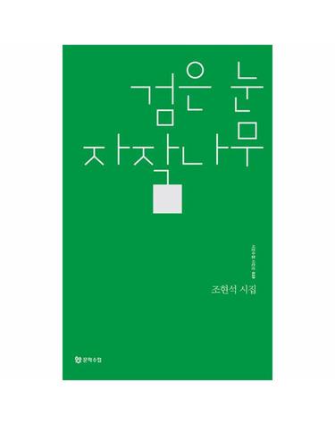 검은 눈 자작나무