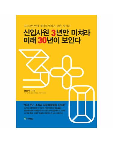 신입사원 3년만 미쳐라 미래 30년이 보인다 (입사 3년 안에 제대로 일하는 습관, 일머리)