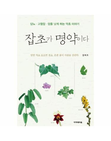 잡초가 명약이다 - 당뇨.고혈압.암을 낫게 하는 약초 이야기
