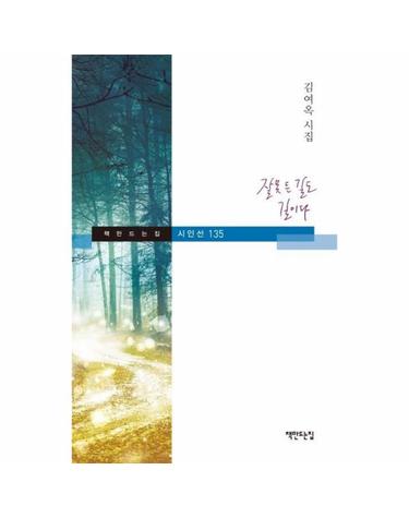 잘못 든 길도 길이다 - 책만드는집 시인선 135