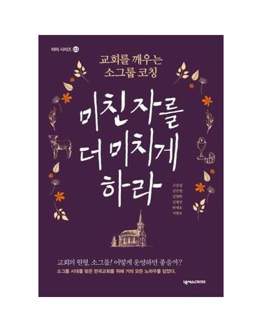 미친 자를 더 미치게 하라 - 교회를 깨우는 소그룹 코칭