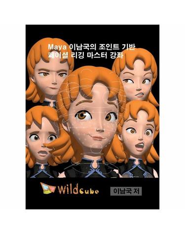 (USB) Maya(마야) 이남국의 조인트 기반 페이셜 리깅 마스터 강좌