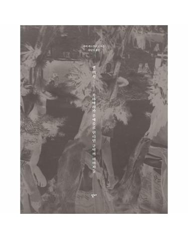 뱀 의식 - 북아메리카 푸에블로 인디언 구역의 이미지들 (양장)