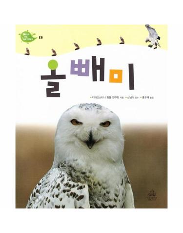올빼미 - Deep in Nature 28 (양장)