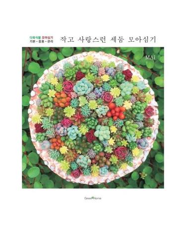 작고 사랑스런 세둠 모아심기 - 다육식물 모아심기 기본 - 응용 - 관리