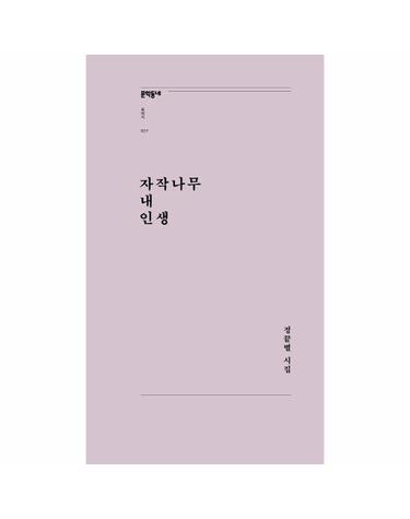 자작나무 내 인생 - 정끝별 시집 - 문학동네포에지 27