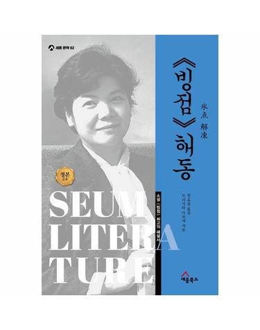 《빙점》 해동 - 소설 《빙점》 최고의 해설서- 세움 문학 2 (양장)