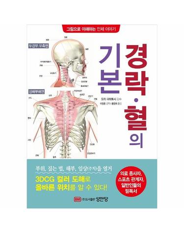 경락？혈의 기본 - 그림으로 이해하는 인체 이야기