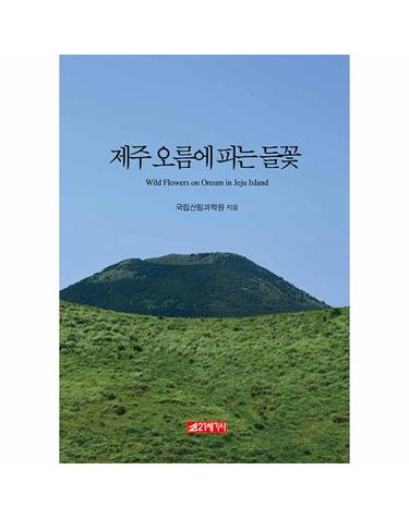 제주 오름에 피는 들꽃
