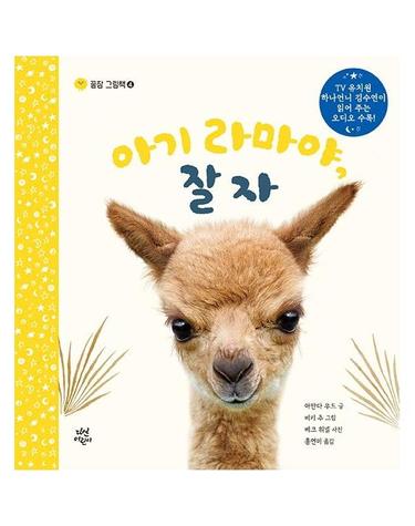 아기 라마야, 잘자 - 꿀잠 그림책 4 (양장)