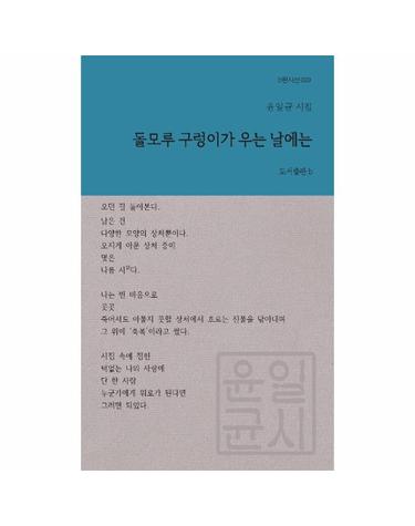 돌모루 구렁이가 우는 날에는 - b판시선 29