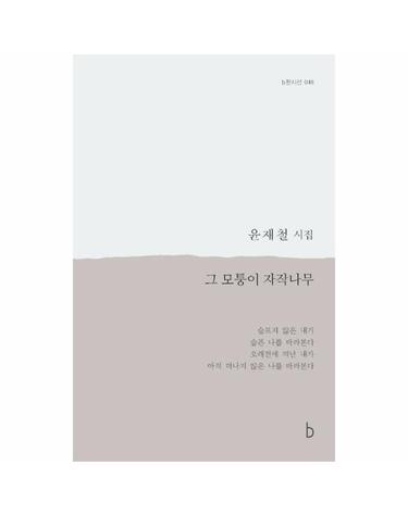 그 모퉁이 자작나무 - b판시선 48