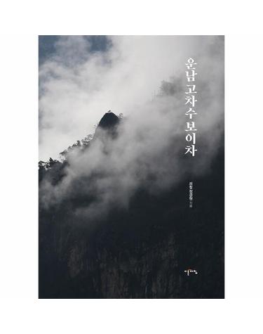 운남 고차수 보이차