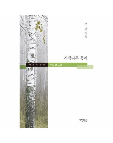 자작나무 옹이 - 책만드는집 시인선 226 (양장)