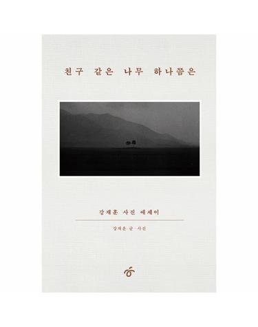 친구 같은 나무 하나쯤은