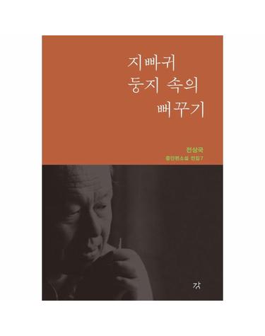 지빠귀 둥지 속의 뻐꾸기 - 전상국 중단편소설 전집 7 (양장)