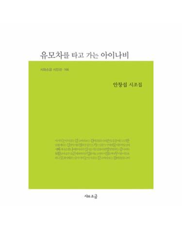 유모차를 타고 가는 아이나비 - 시와소금 시인선 166