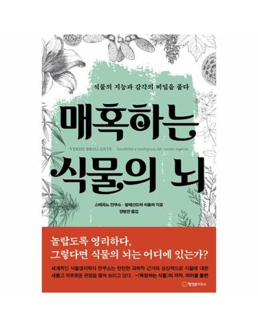 매혹하는 식물의 뇌 - 식물의 지능과 감각의 비밀을 풀다