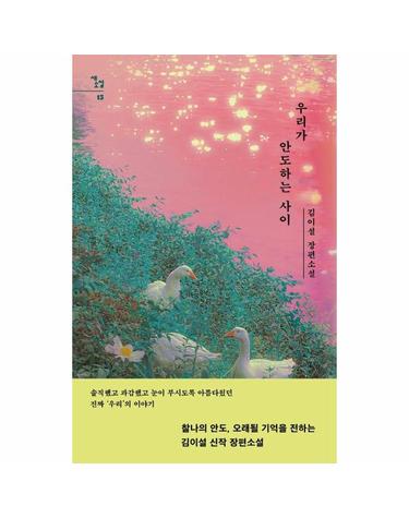 우리가 안도하는 사이 - 새소설 15