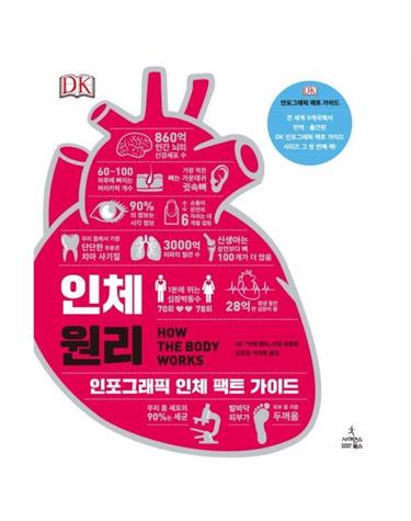 인체 원리 - 인포그래픽 인체 팩트 가이드 - DK 세상의 원리 시리즈 (양장)
