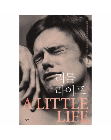 리틀 라이프 1 - 한야 야나기하라 장편소설
